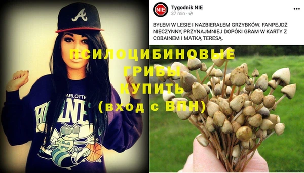 спайс Армянск